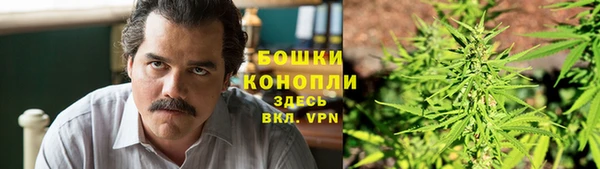 дурь Алексеевка