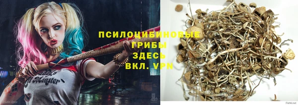 ГАЛЛЮЦИНОГЕННЫЕ ГРИБЫ Алзамай