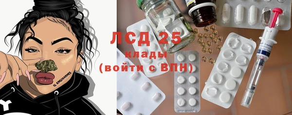 ГАЛЛЮЦИНОГЕННЫЕ ГРИБЫ Алзамай